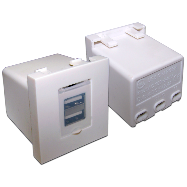 Модуль USB-зарядки, 2 порта, со шторкой, 2.4A/5V, 45x45, белый, Lanmaster LAN-EZ45x45-2xUSB-WH