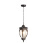 Подвесной светильник Fleur Maytoni Outdoor O414PL-01BZ
