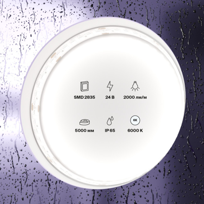 Светодиодная лента 24В 2835 20Вт/м 6000K 5м IP65 Maytoni Led Strip 10159
