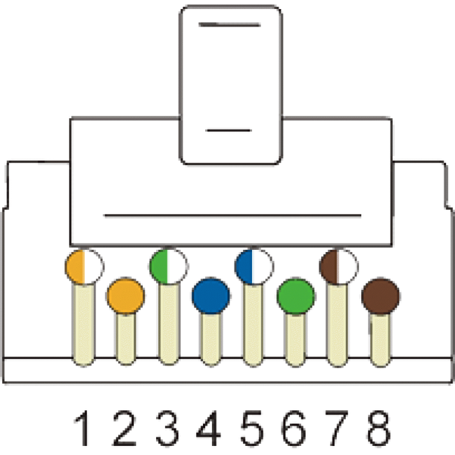 Коннектор RJ45 STP 8P8C, универсальный, для толстого кабеля, cat.6, 100 шт., TWT-PL45/S-8P8C-6T