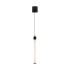 Подвесной светильник Ray Maytoni Technical P022PL-L10B