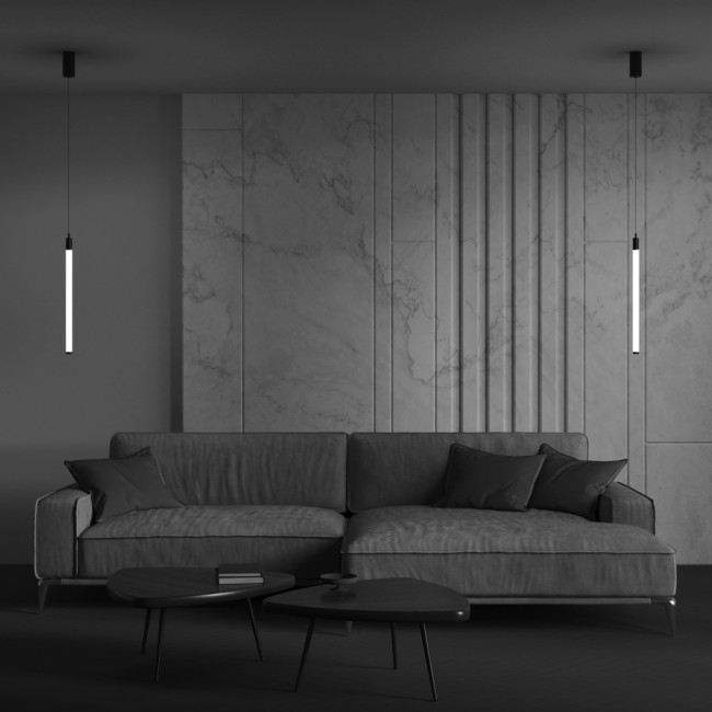 Подвесной светильник Ray Maytoni Technical P022PL-L10B