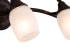 Спот Margaret Maytoni SP563-CW-03-R